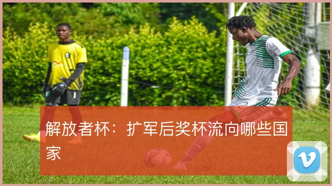 解放者杯：扩军后奖杯流向哪些国家