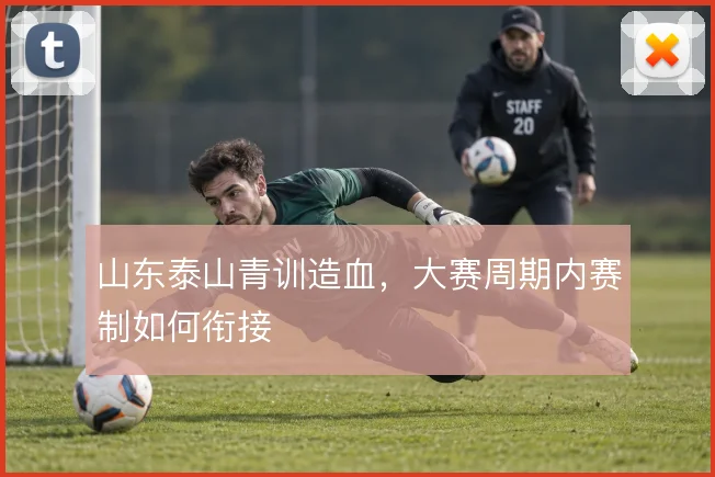 山东泰山青训造血,大赛周期内赛制如何衔接
